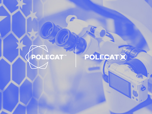 China's Rise to Bio-Tech Domination & Its Impact (PolecatX-AI Query)