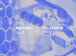 China's Rise to Bio-Tech Domination & Its Impact (PolecatX-AI Query)