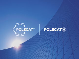 Polecat's Industry Briefing Highlights (January 2026)