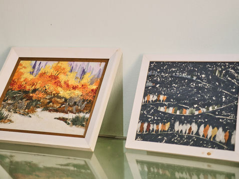 Colecoes_Memorial_Kimura10