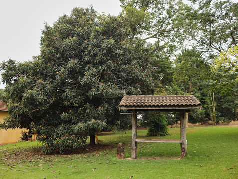 Arquitetura_Memorial_Kimura2