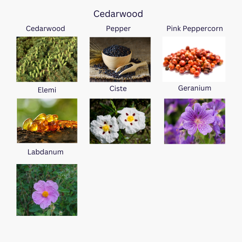 Thumbnail: Relaxing Cedarwood Essential Oil Blend, featuring the grounding warmth of cedarwood