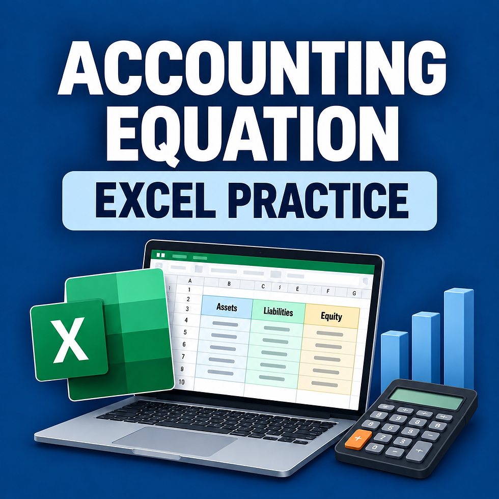 Accounting Equation Excel Practice Exercise