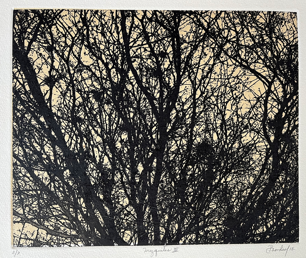 Pilar Bordes - Mezquite III