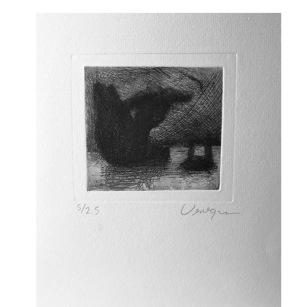 Germán Venegas - Lago de muerte