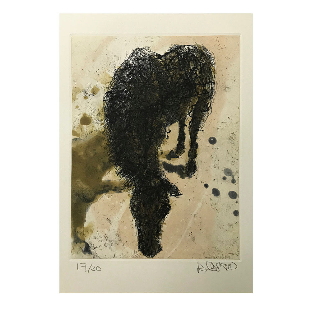 Alberto Castro Leñero - Caballo viejo