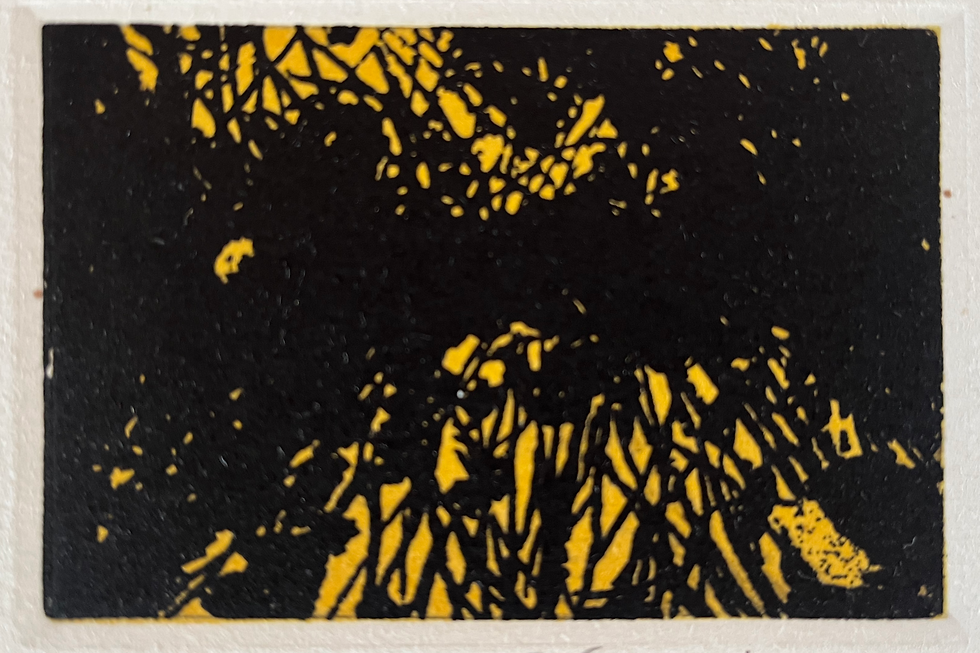 Miniatura: Jan Hendrix - Serie S/T