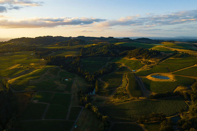 Willamette-Valley.jpg