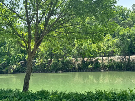 Trudging Thru the Trenches