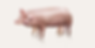 豚のイラスト