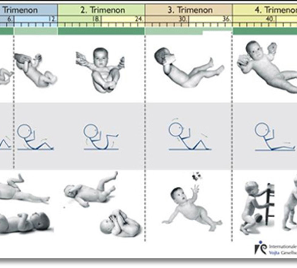Child's neuromuscular and kinesiological development (1st year of life)