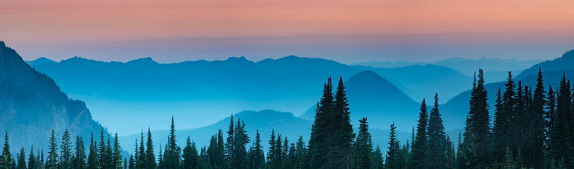 AdobeStock_205559045.jpeg