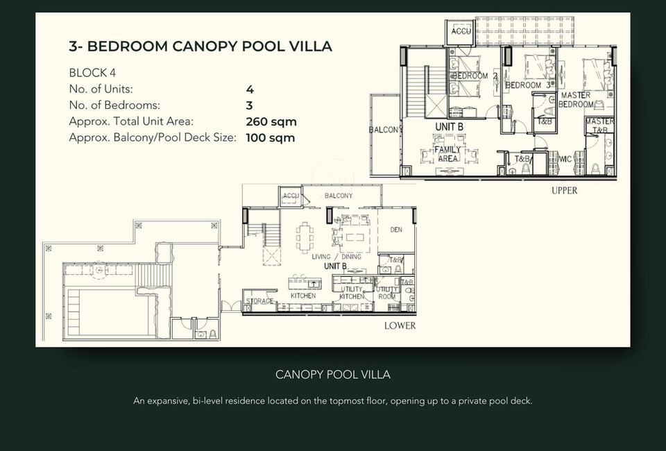 AL Canopy Pool Villa.jpg