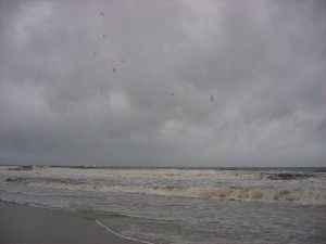 Before Ophelia