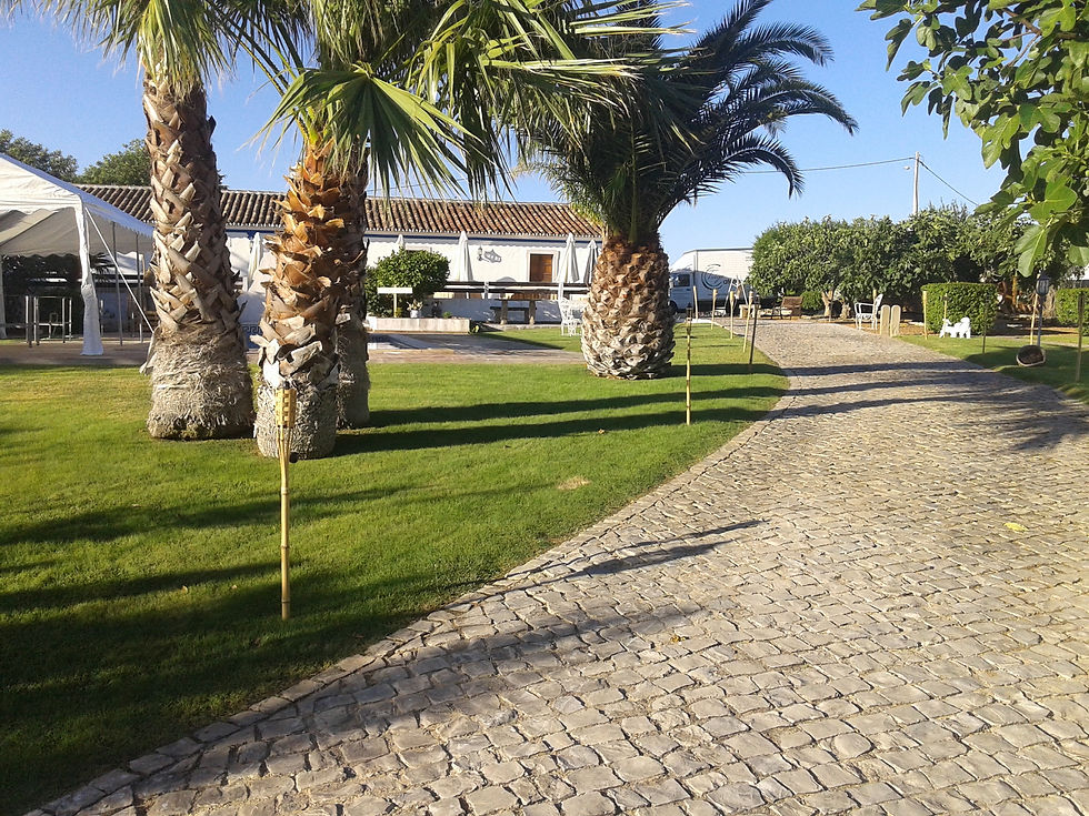 20150704_075342