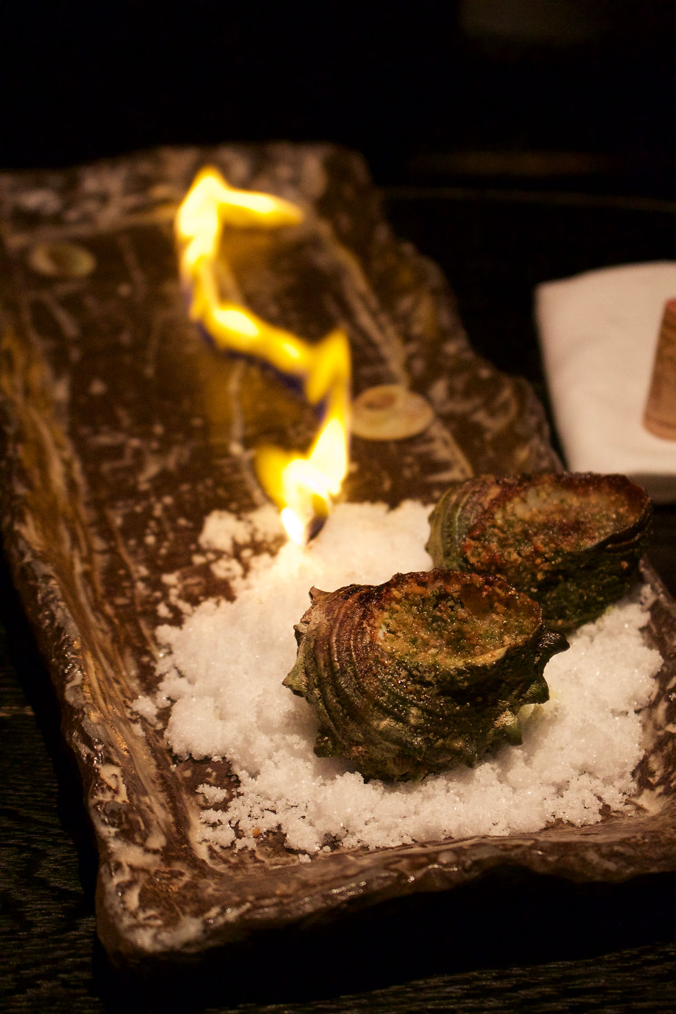 Flaming seasnails by Ninja