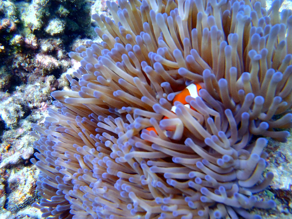 P3310110