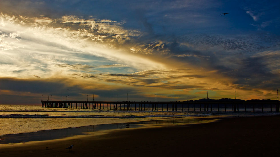 Venice's Beach Sunset