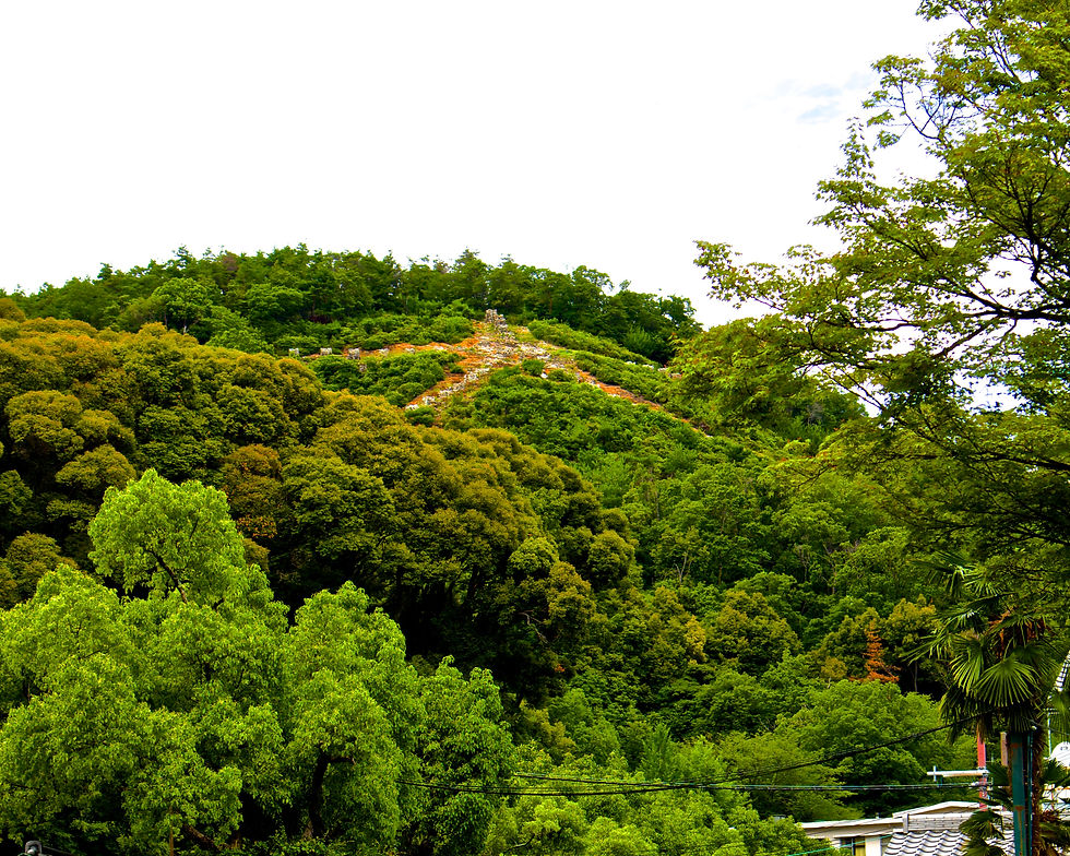 The star of the hill