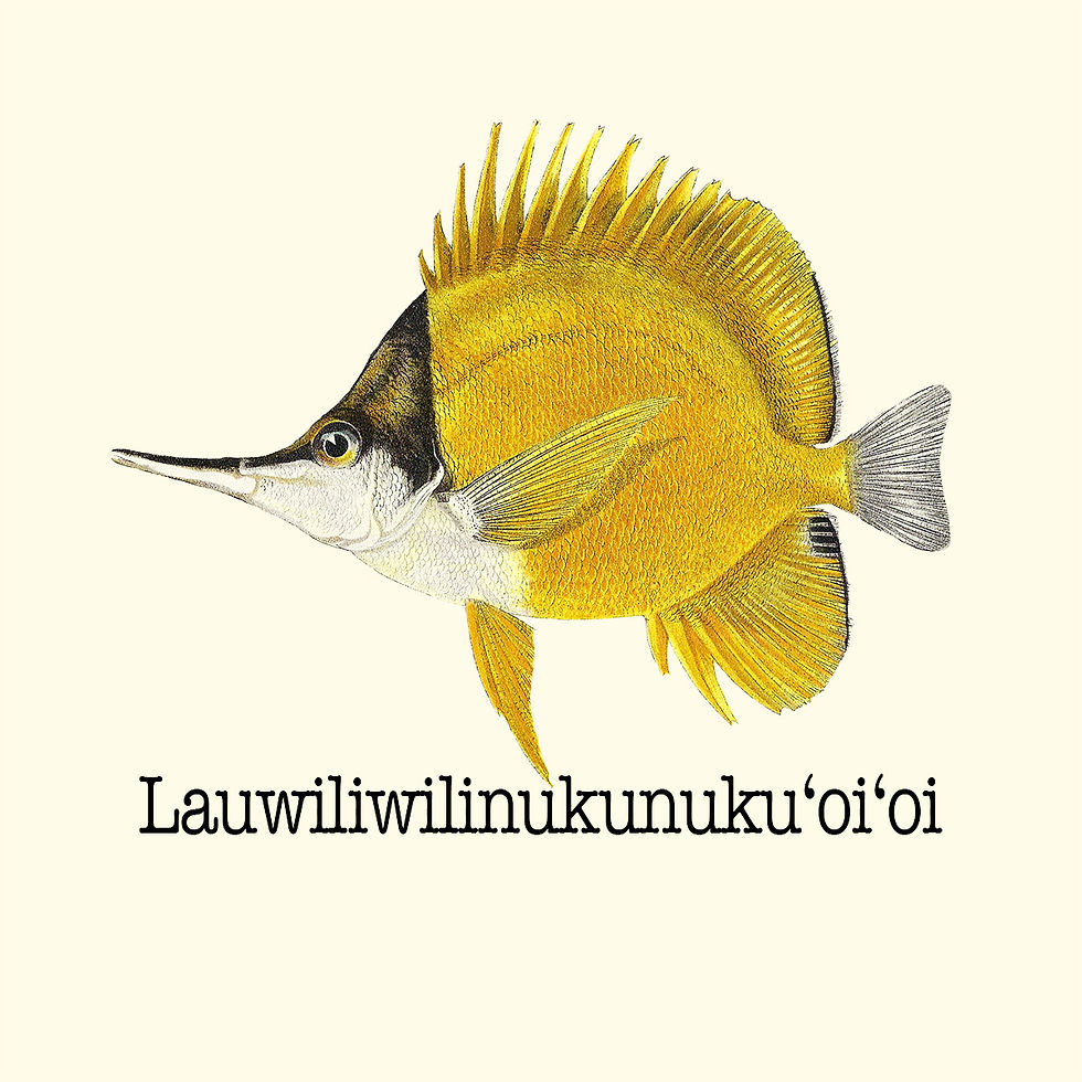 Lauwiliwili Coaster