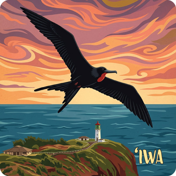 Iwa, Great Frigatebird Magnet
