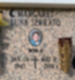 Serrato Single Niche