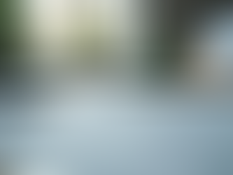 Business Regulatory Solutions: Business Compliance Solutions Made Simple