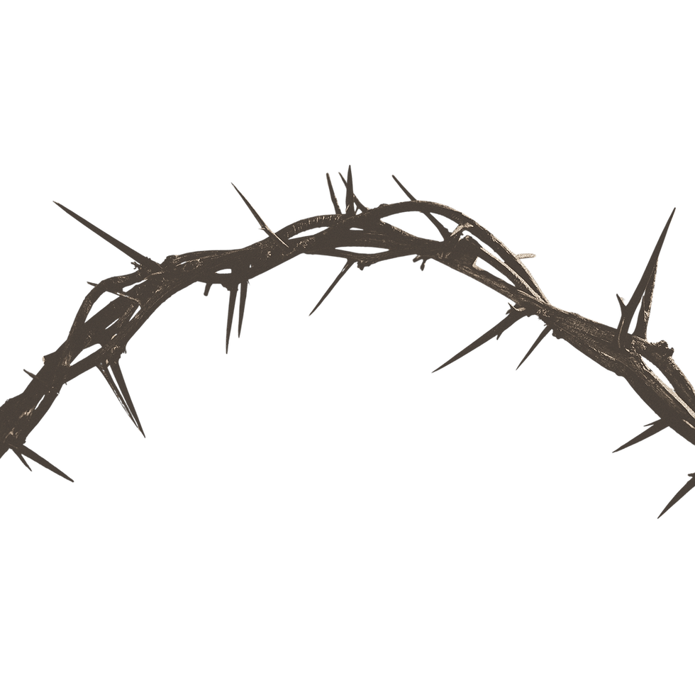 thorns