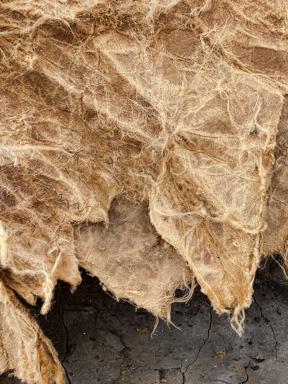 Weathered cloth in cliff