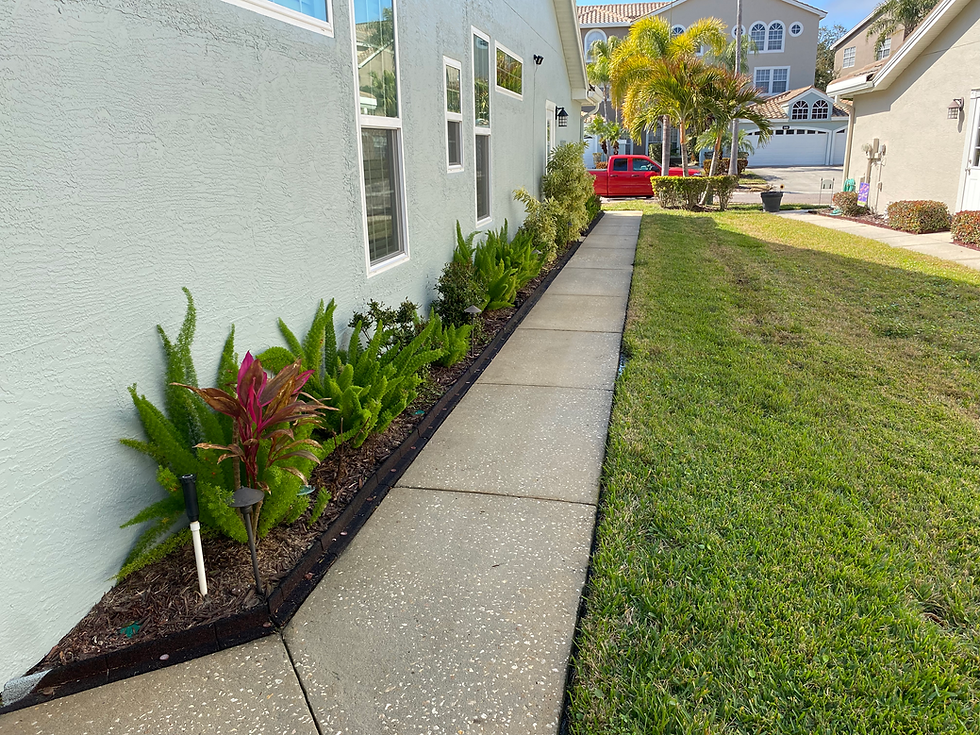 Professional Pressure Washing in Pinellas County