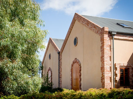 Murray Street Vineyard