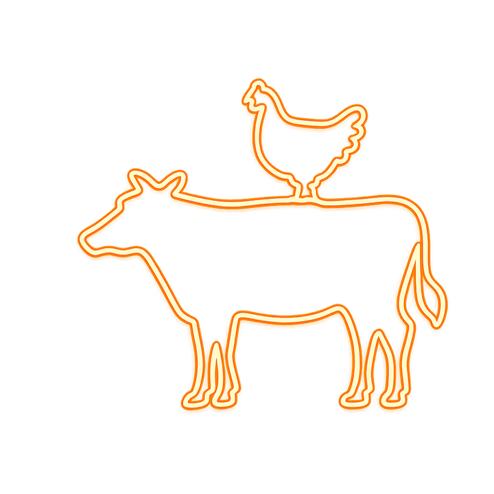 8b4f3729-676c-40fa-a717-c427426aa0ba.png