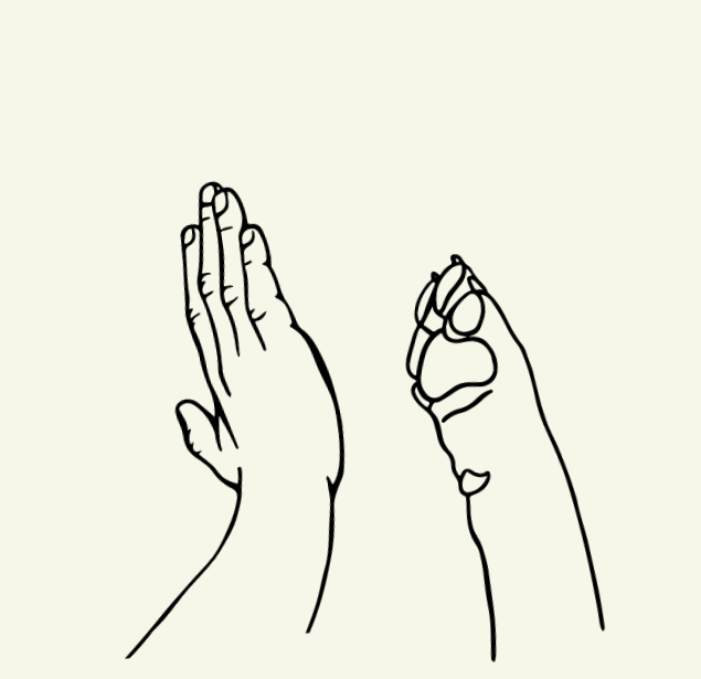 B1FAFE20-650C-4C1F-90FD-D50C50B51794.gif