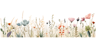 Wildflower_Frames_40-Bundle (8).png
