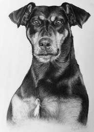 Lilly