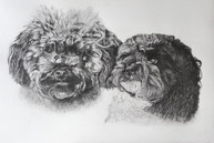 Oscar & Mable