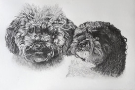 Oscar & Mable
