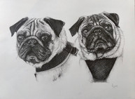 Millie & Mollie