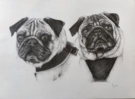 Millie & Mollie