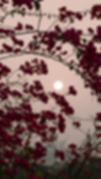 Ostara/ Spring Equinox Spiritual Women's Full Moon Circle