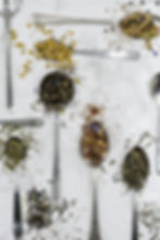 Learn How to Blend Your Own Medicinal Tea