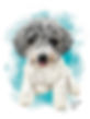 Commissioned dog portrait 2