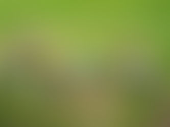 Kroužek nám pro léto skončil, těšíme se opět v září.