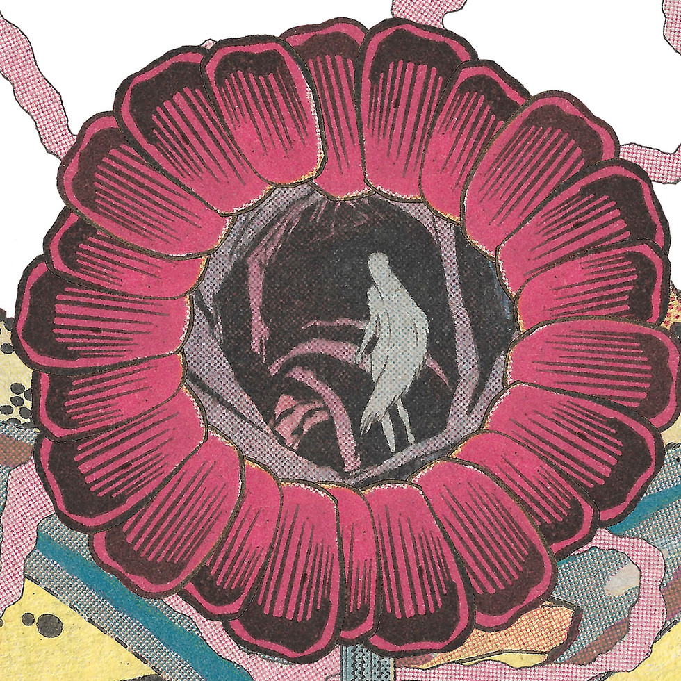 Thumbnail: GLE004A Flowers For Algernon 1