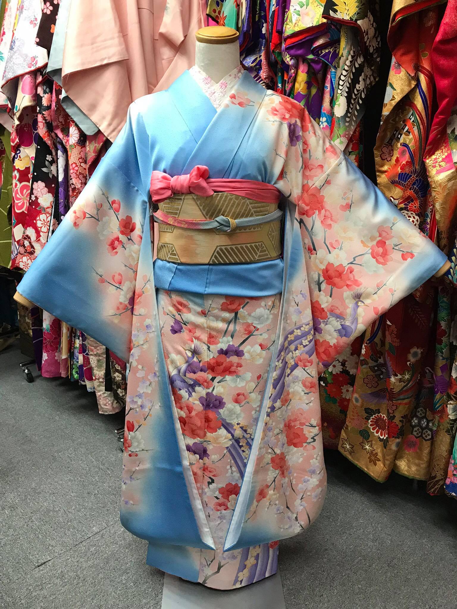 CLASS B 水藍色梅花牡丹孔雀高級化纖振袖