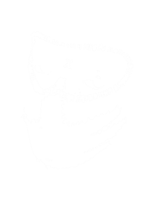 Xile Mask Design.png