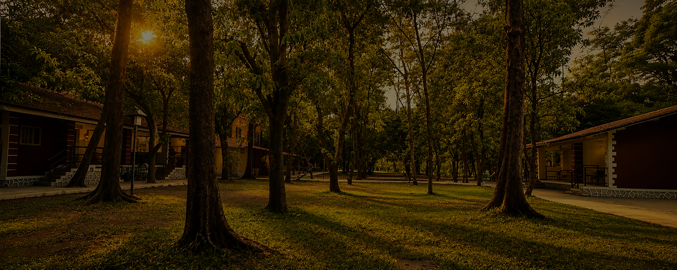 Copy of banner image (1) 1 (1).png