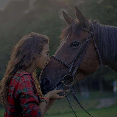 Elevate Your Leadership: Where Horses Are the Teachers