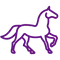horse.webp