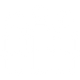 youth (3).png